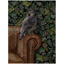 Load image into Gallery viewer, Morepork artwork copyright angela croft art ltd
