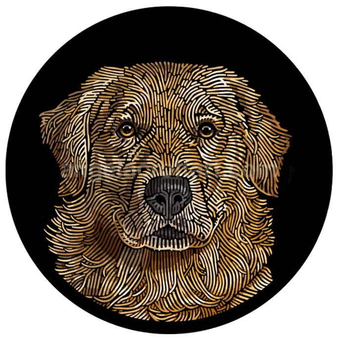 Doggieology Art - Golden Retriever 190Mm Diameter Giclée