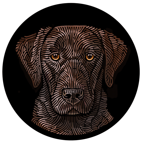Doggieology Art Ltd Chocolate Labrador