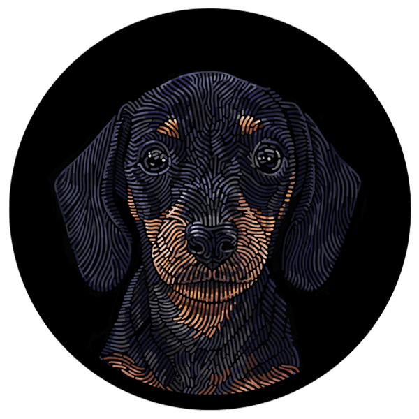 Doggieology Art - Dachshund
