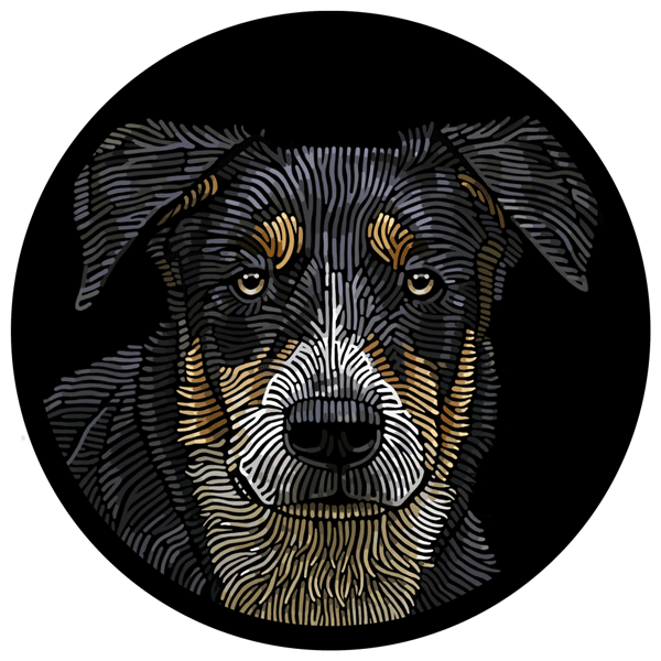 Doggieology Art Ltd Huntaway