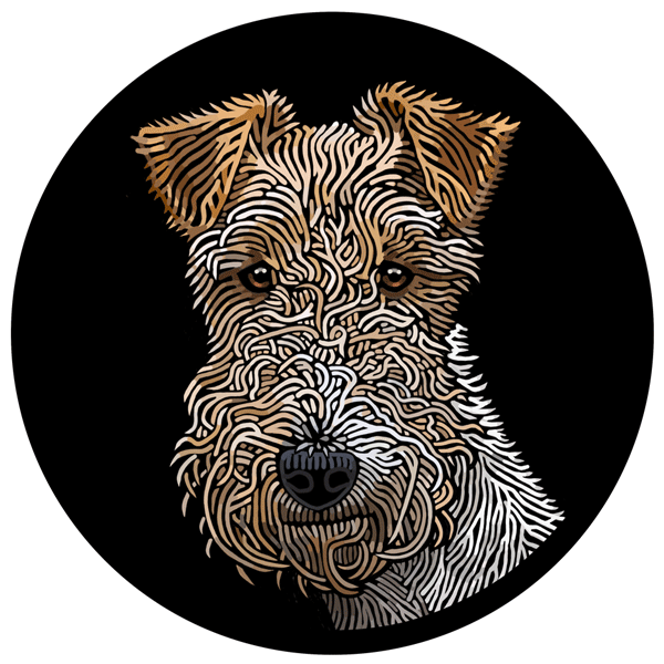 Black wire fox outlet terrier